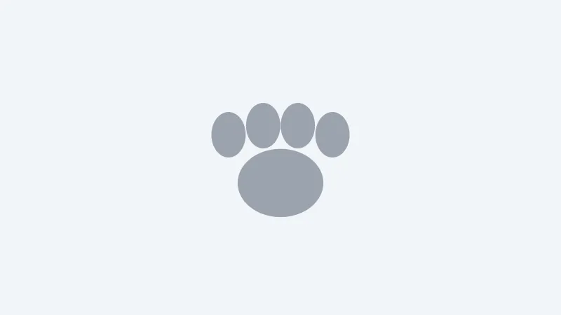 Placeholder image for the example post