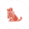 Pet X ray icon